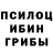 Галлюциногенные грибы Psilocybe kalamaki77