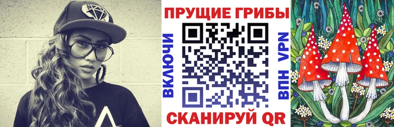 Галлюциногенные грибы Psilocybe Каспийск